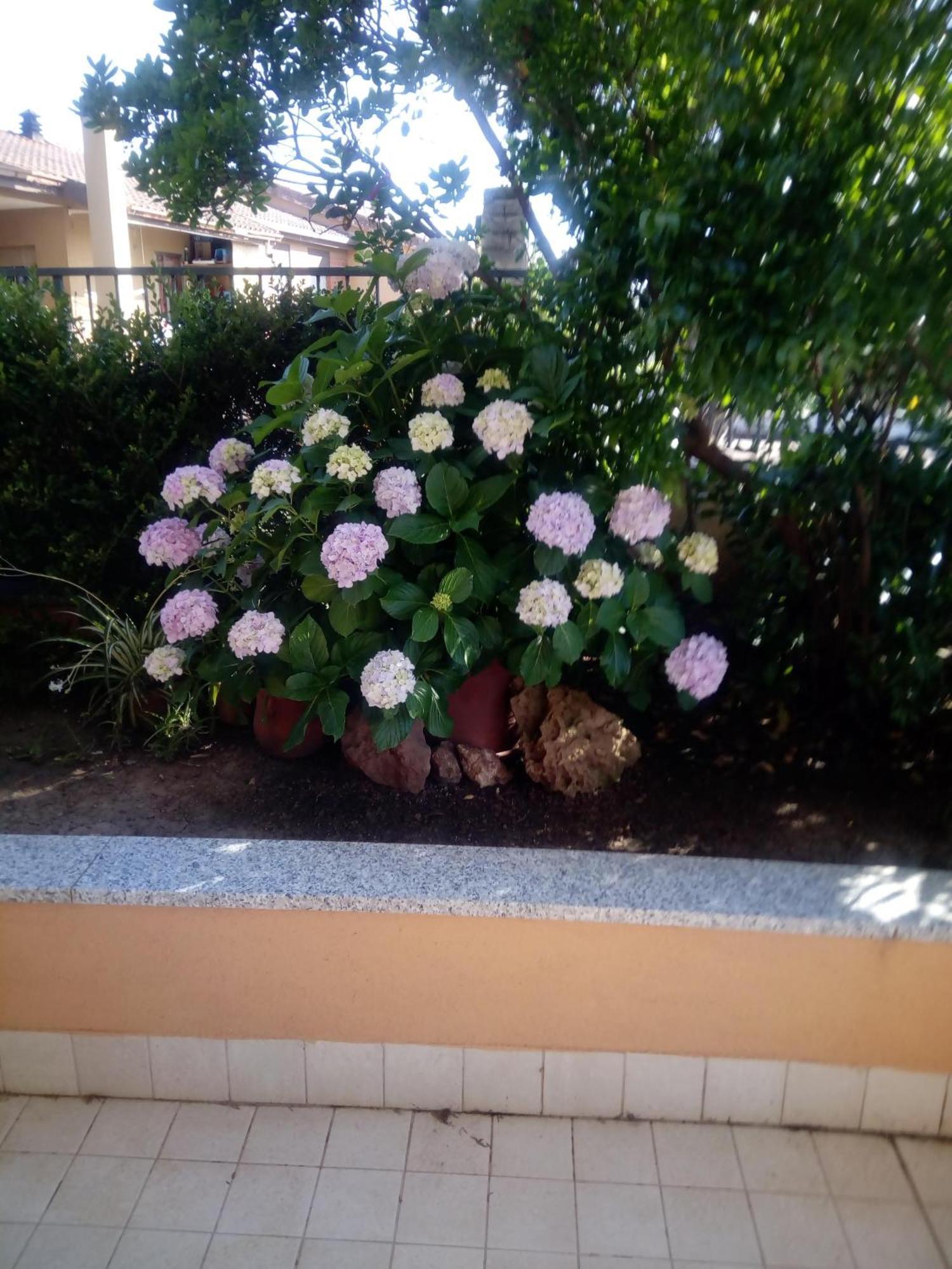 Casa Al Mare Con Giardino Feriehus